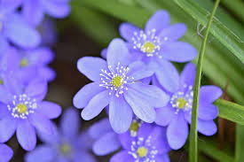 東京警察病院 整形外科 医師 須原靖明