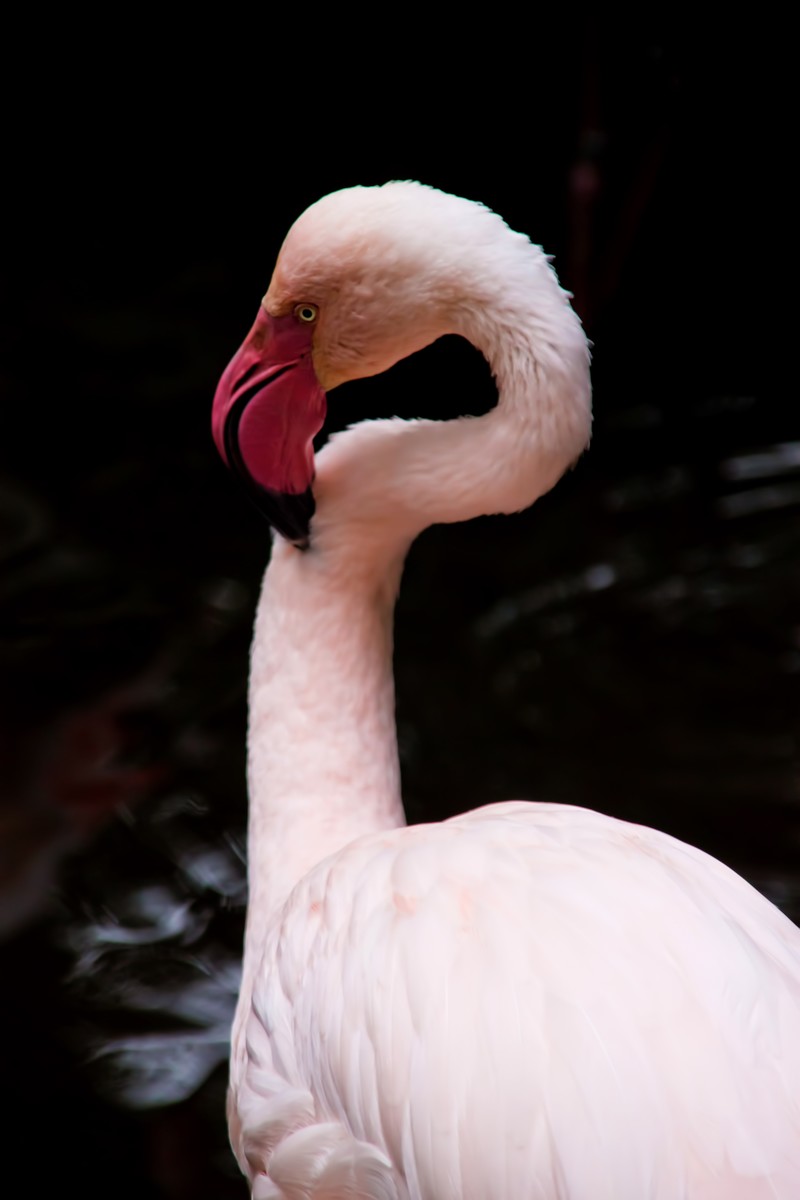 奥野剛史 弁護士関連