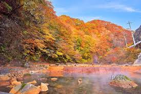 宗野惠樹 関東学院大学