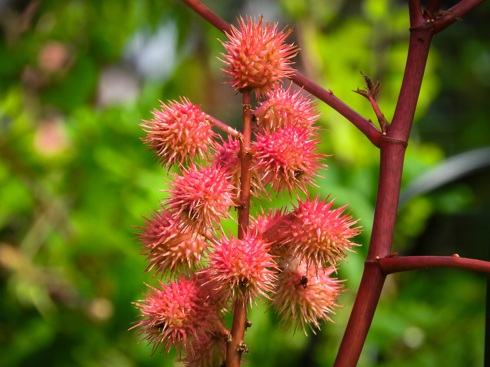 株式会社ネクストパートナーズ 松本和浩