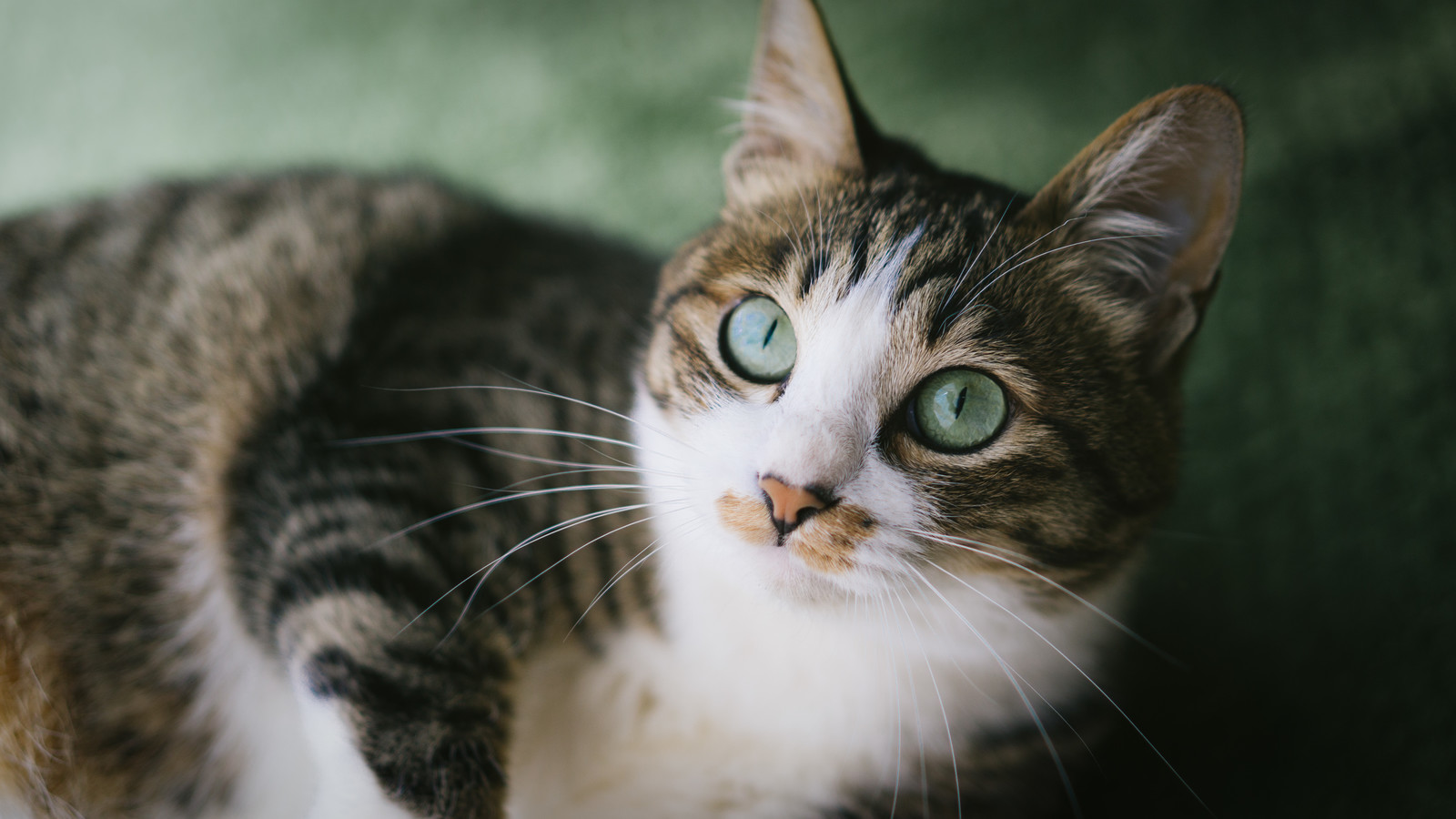 株アカデミーサロン